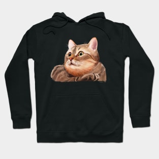 Kitty cat Hoodie